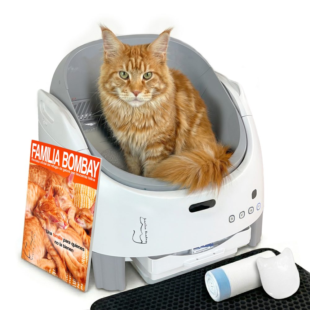 Arenero Inteligente Automático Abierto para Gatos – Fácil acceso, limpieza automática y control desde tu móvil