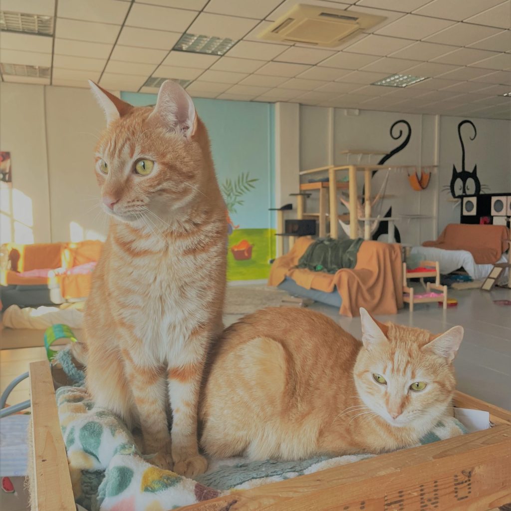 11E2E0857-34AF-4D64-81AA-B98CFC90A756